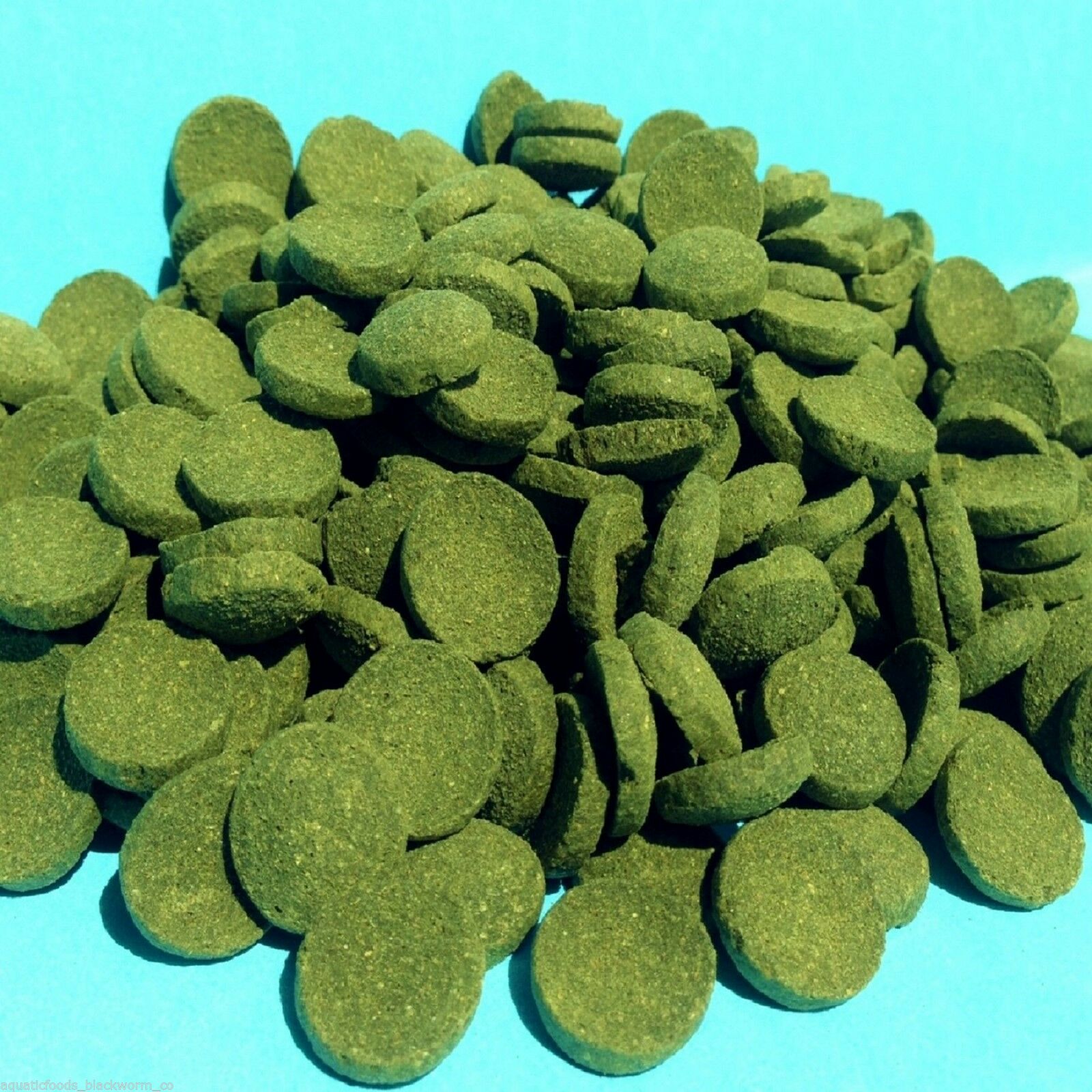 Wafers of Spirulina Algae  by Zeigler Blackworms com